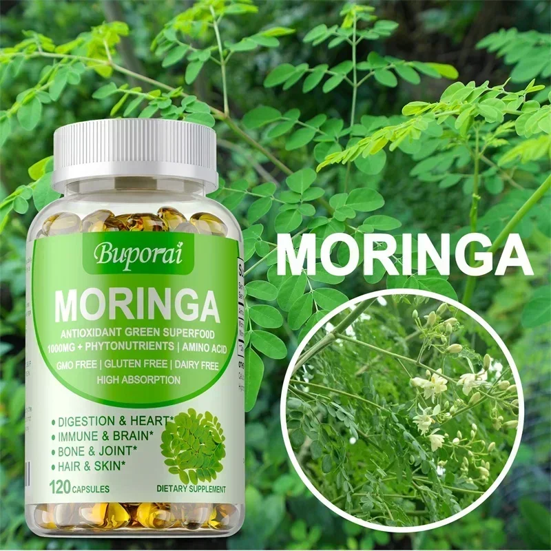 Moringa Leaf Powder - Moringa Kapsülleri - Bağışıklık Sistemini, Enerjiyi,