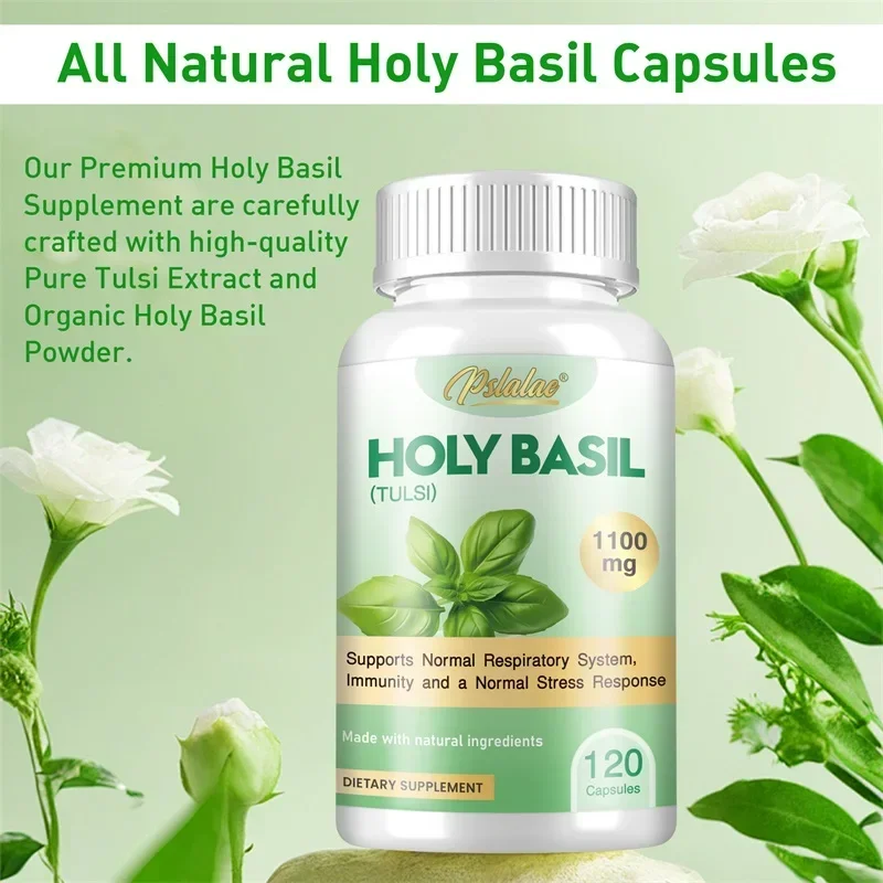 Tulsi Holy Basil - Kutsal Fesleğen Kapsülleri - Bağışıklığı Güçlendirir,