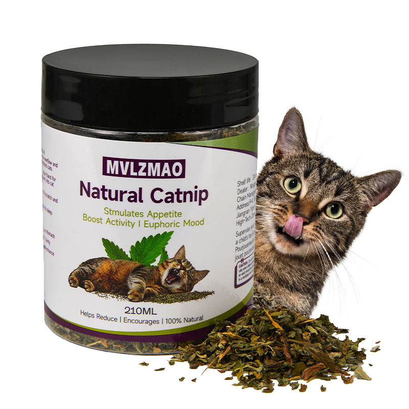 Nettle Leaf Tea - Kedi Oyuncakları - Kediler için Silvervine