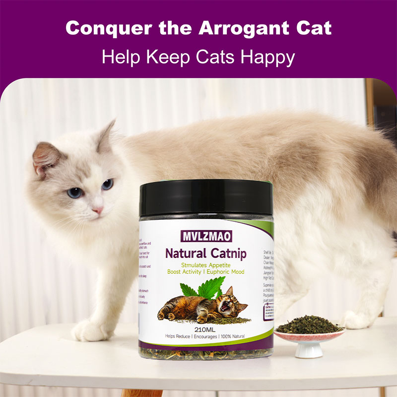 Kedi Oyuncakları - Kediler içi - Nettle Leaf Tea incelemesi ve fiyatı