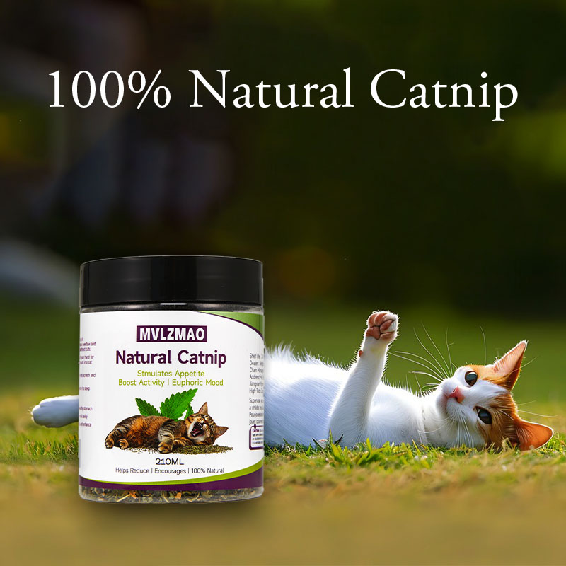 Kedi Oyuncakları - Kediler içi - Nettle Leaf Tea incelemesi ve fiyatı