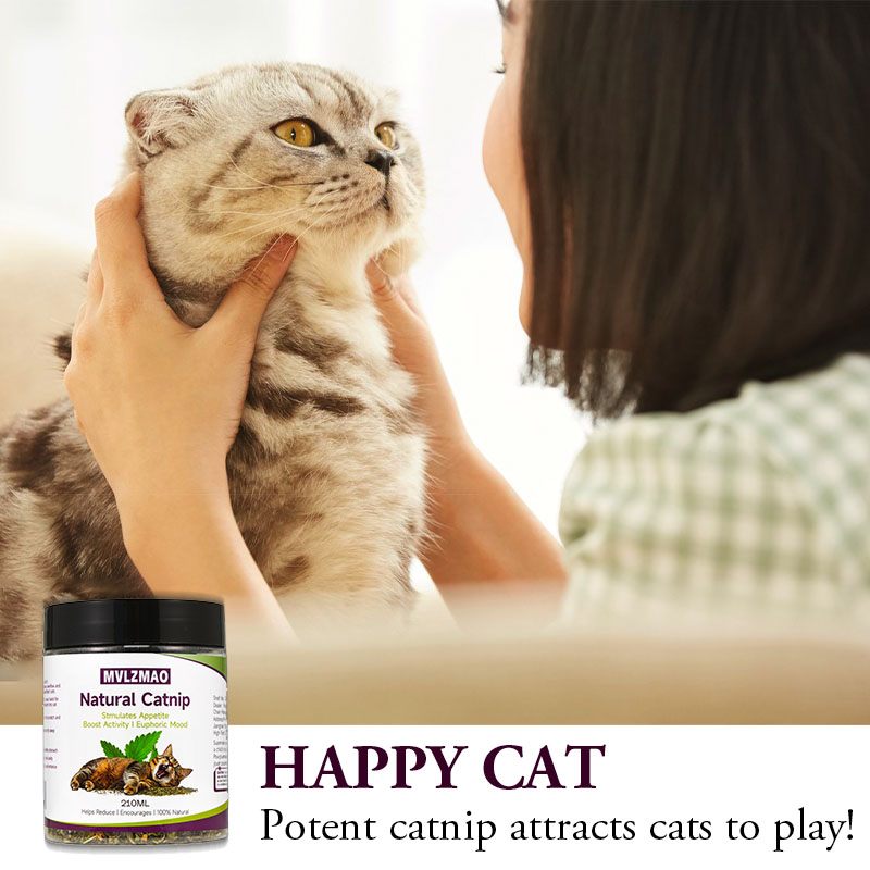 Kedi Oyuncakları - Kediler içi - Nettle Leaf Tea incelemesi ve fiyatı